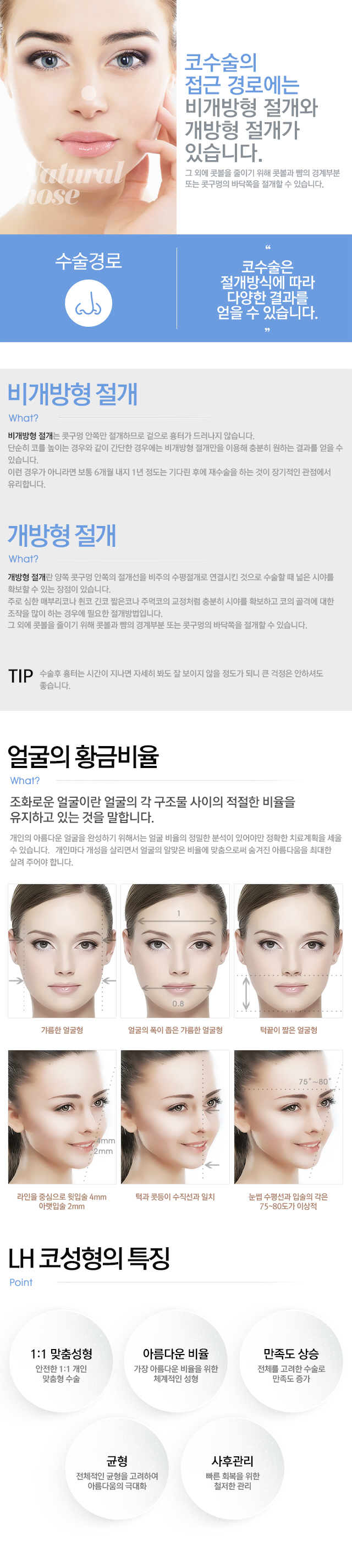 수술경로